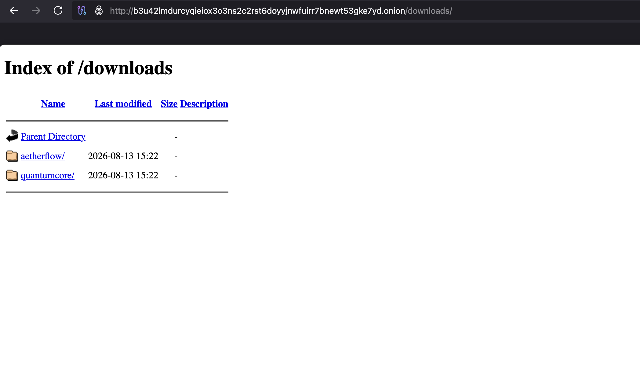 Open downloads directory listing the published victim folders